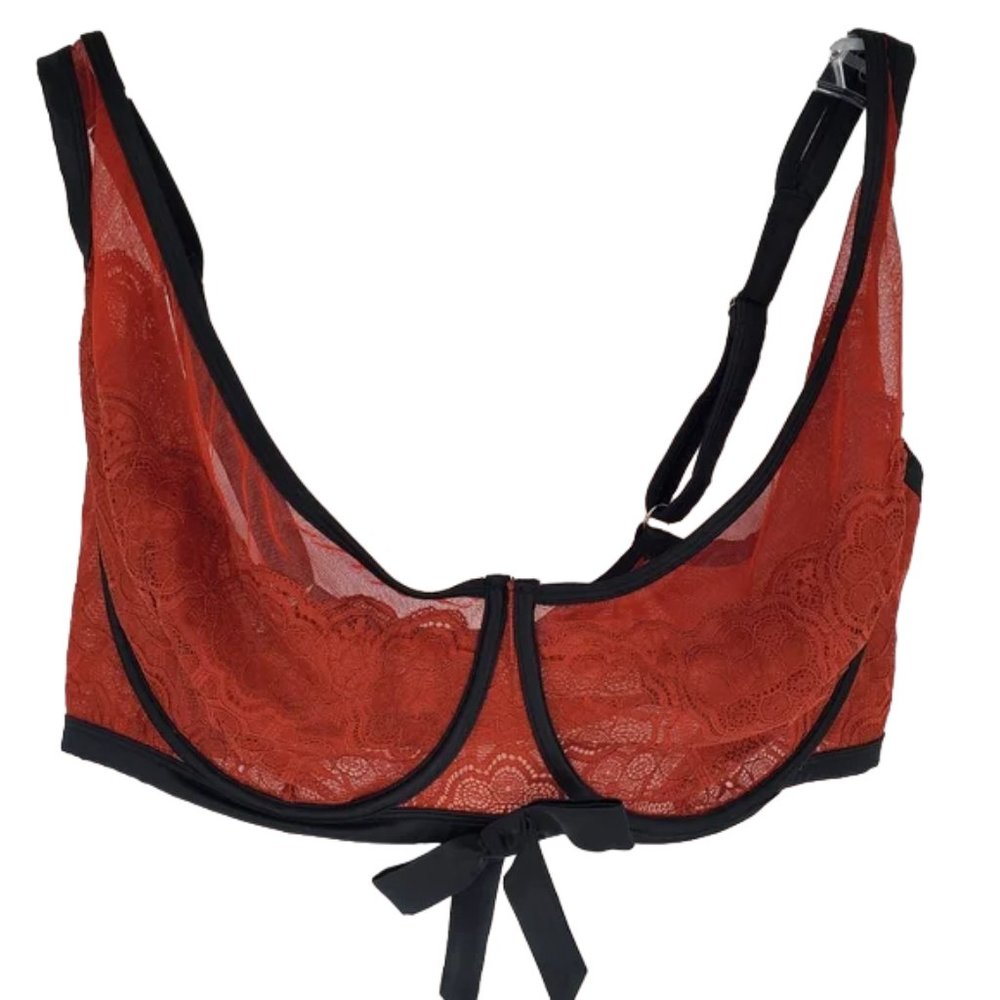 Gabi Fresh x Playful Promises Bra Sexy Lingerie Plus size Curvy Underwire 44I